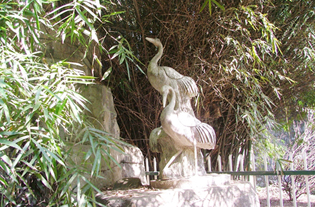 ��˾�L(f��ng)��